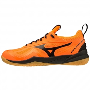 Giày cầu lông Mizuno Wave Fang Zero