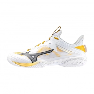 Giày Cầu Lông Mizuno Wave Claw Neo 2