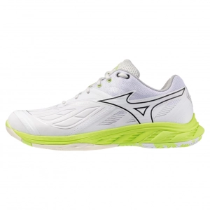 Giày cầu lông Mizuno Wave Fang 2